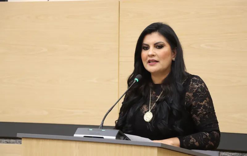 Delfina Pozos propone fortalecer la legalidad en los reglamentos municipales
