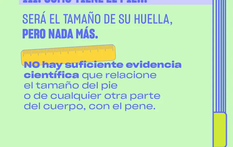 penepedia-platanomelon