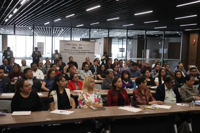 Foro “Rumbo a la Reforma de Ley de Bienestar Animal”