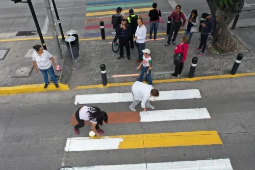 Rivera Vivanco procederá por cambio en cebras peatonales