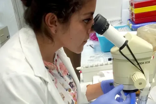 Investigadora BUAP estudia alteraciones en células productoras de insulina