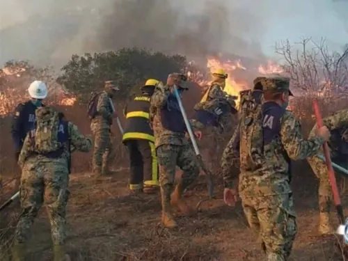 Confirman dos muertos por incendios forestales en Tecate