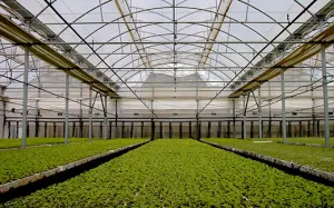 Puebla, estado con mayor crecimiento agropecuario durante 2015: INEGI