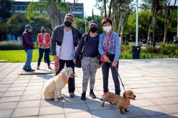 La rectora Lilia Cedillo inició el programa “Entrenamiento canino BUAP”