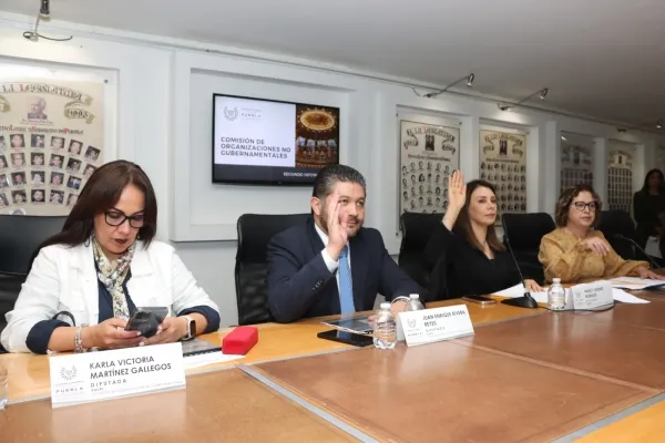 Congreso Puebla Comision Organizaciones No Gubernamentales