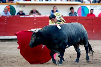 Regresan las corridas de toros a la CDMX