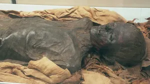 En 30 años arqueólogos localizan 1 millón de momias en Egipto