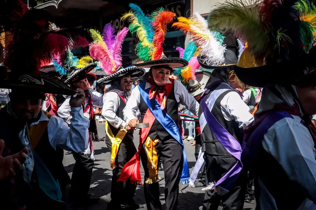 Carnaval Desfile Huehues