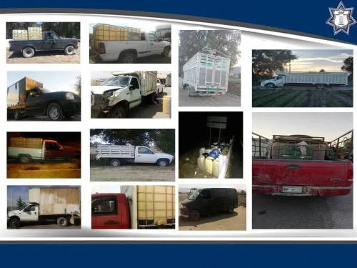 SSP decomisó más de 11 mil litros de combustible y vehículos robados