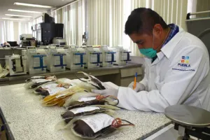 Destaca Puebla a nivel nacional en donación voluntaria de sangre
