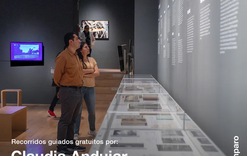 Imagen del artículo
