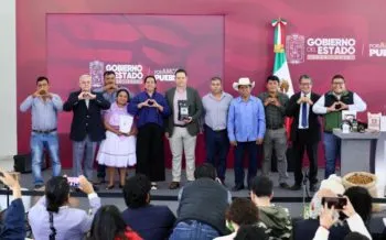 Puebla lidera la producción de café en México con 74 mil hectáreas y 225 mil toneladas anuales