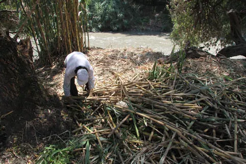 Conagua cierra granja de Bachoco por contaminar río