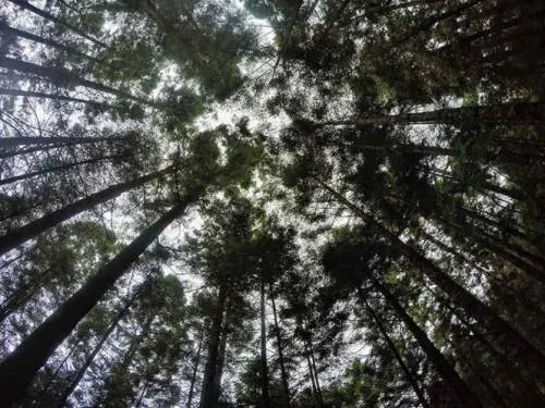 Advierten pérdidas por 143 mmdd por no combatir cambio climático en México