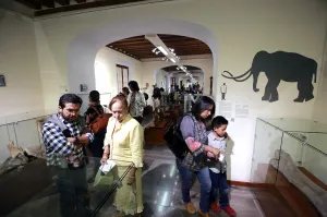 Asisten más de 12 mil visitantes a Noche de Museos