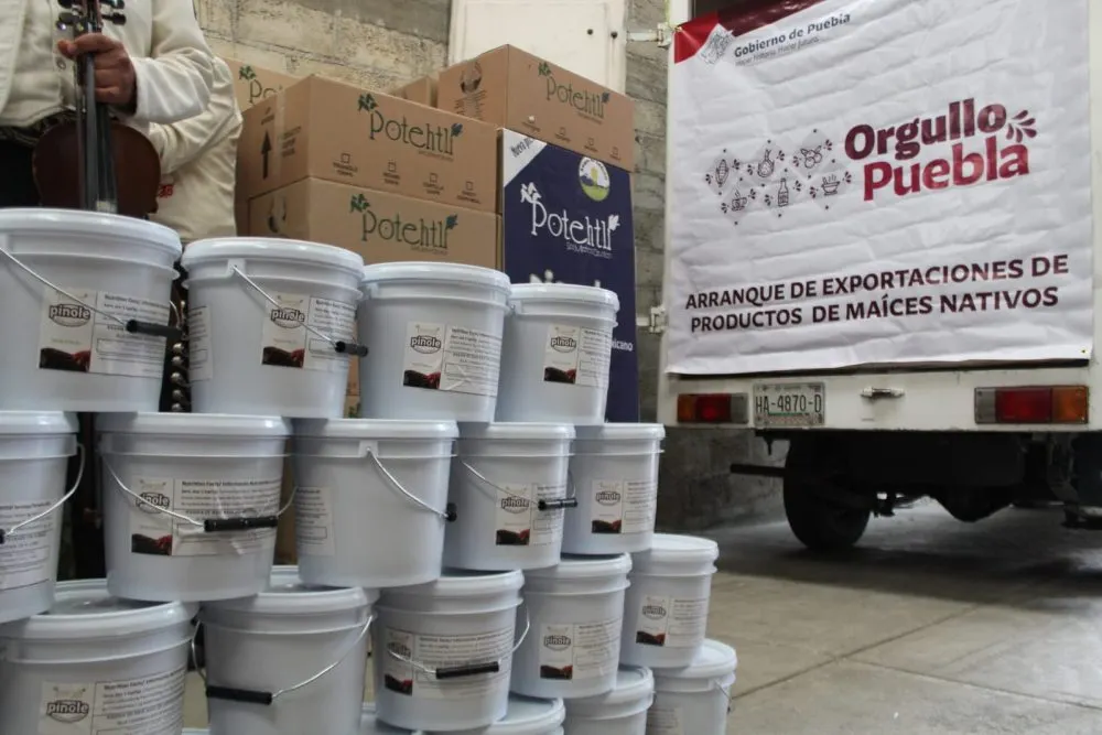 Concreta Desarrollo Rural vinculación para exportar maíz azul a Estados Unidos