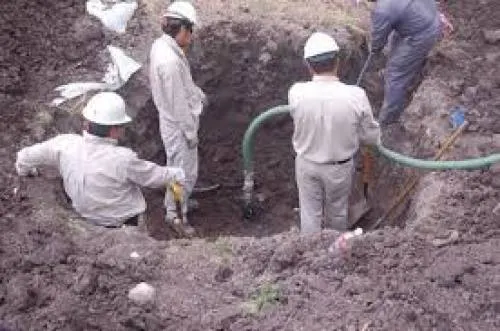 En Palmarito, todos Trabajan para el “Toñín”