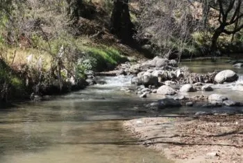 Armenta destaca saneamiento del río Atoyac y combate a la extorsión como ejes prioritarios para el segundo año de gobierno