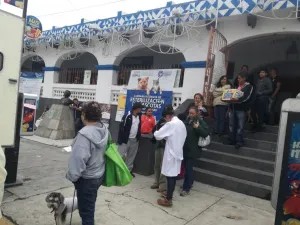 Comuna implementa acciones integrales para protección animal