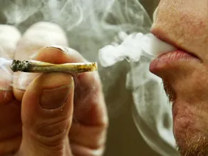 Presenta PRD en el Senado iniciativa para regular uso de la marihuana