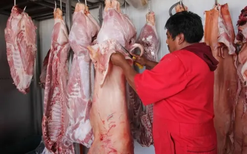 Piden sanciones para acabar con rastros clandestinos: Garci Crespo