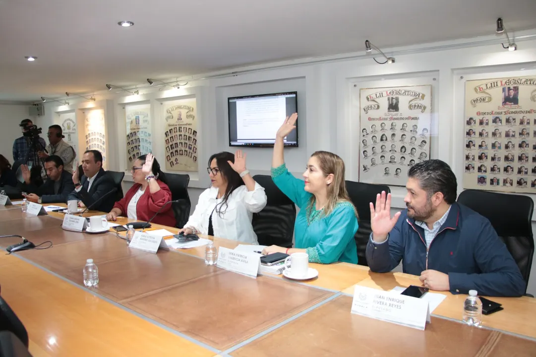 Comision Control Vigilancia Evaluacion Ase Sesion