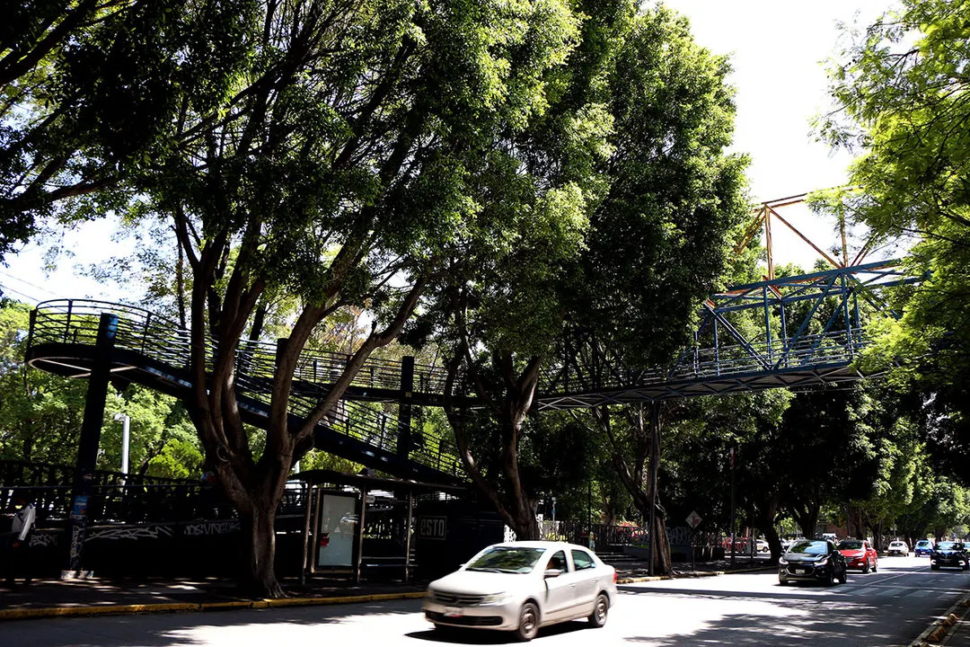 Puente Peatonal Plaza Dorada