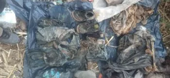 Descubren 20 bolsas con restos humanos en Salamanca, Guanajuato