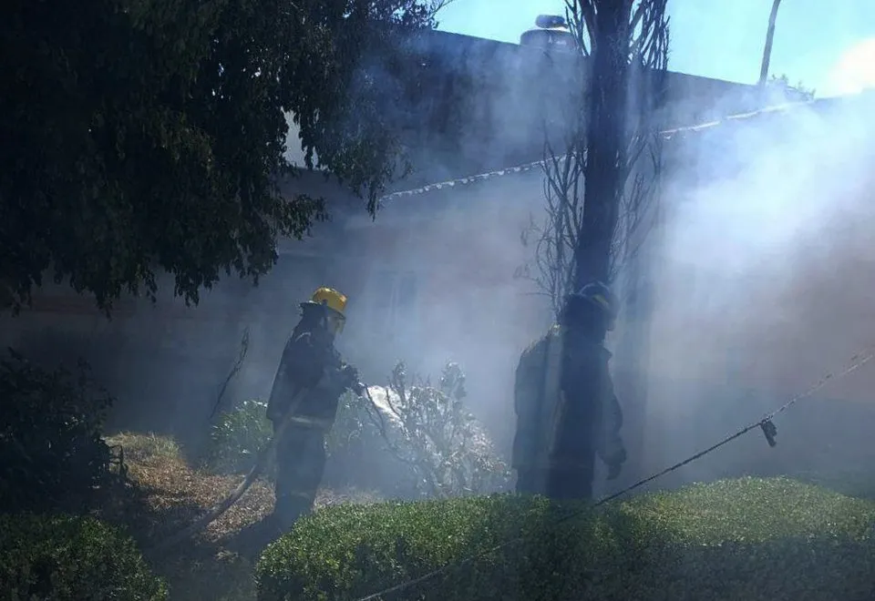 Incendio de un pino en Calzada Zavaleta