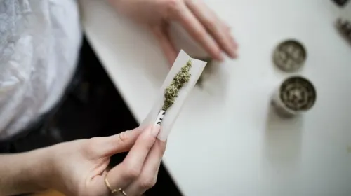 Quita Senado uso medicinal de cannabis previo a discusión en el Pleno