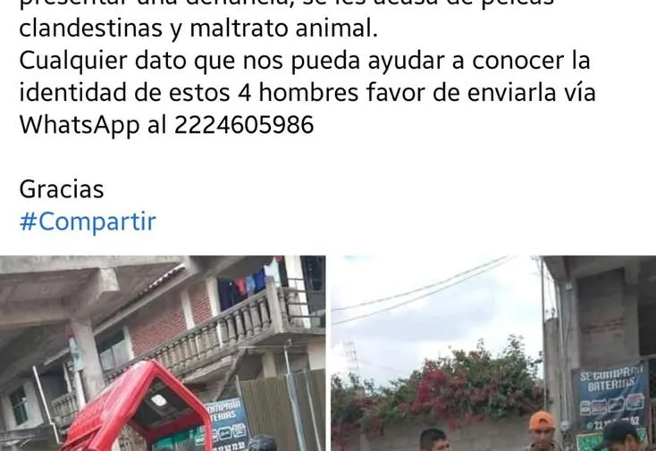 Imagen del artículo
