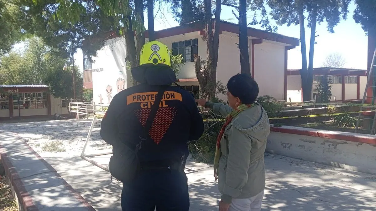 ayto-pue-atencion-arboles-caidos-por-viento