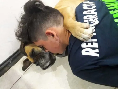 Perrita muere en brazos de su dueño durante pirotecnia