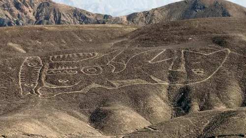 Encuentran en el desierto Peruano el dibujo de una Orca de hace 2000 años