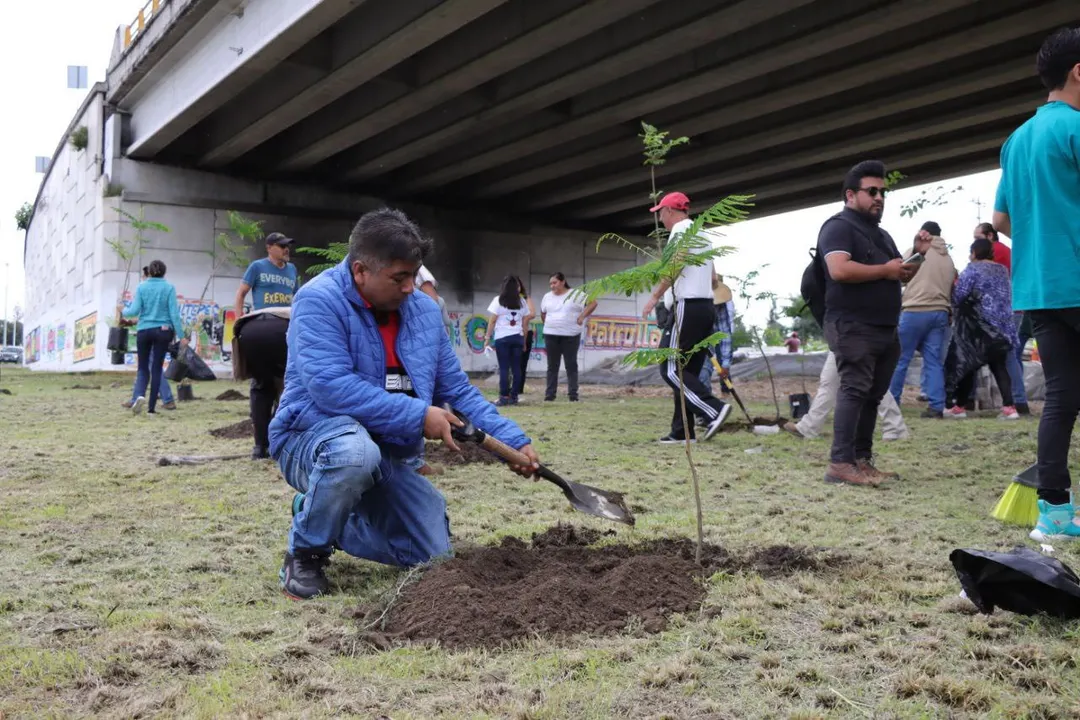 Ariadna Ayala, Atlixco, reforestación