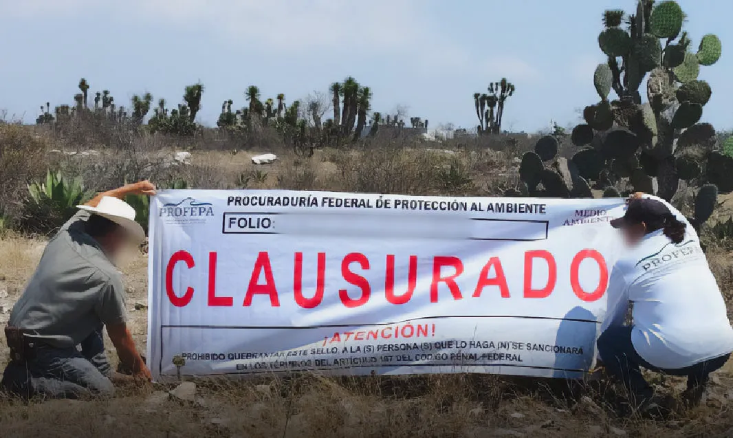Clausuran obras ilegales en reserva de Tehuacán-Cuicatlán: detectan lotificación en casi 45 hectáreas protegidas
