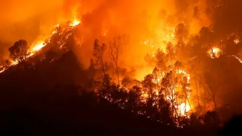 Ola de calor mantiene “vivos” a dos de 20 incendios que arden en California
