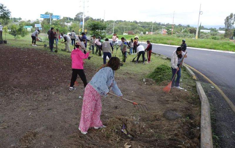 Ariadna Ayala, Atlixco, reforestación