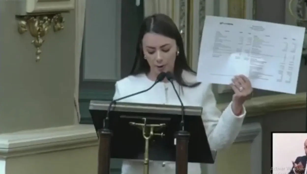 María de la Barreda Angon, diputada local
