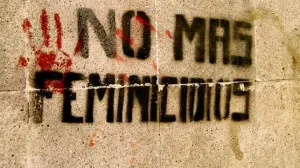 Tipificación como delito grave y penas severas no frenan feminicidios