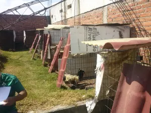 Clausura San Pedro Cholula criadero ilegal de gallos de pelea