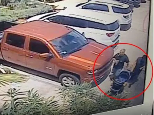 Sujetos roban a tiburón y lo sacan de Acuario en una carriola