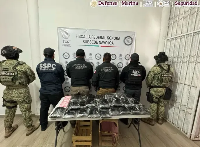 Hallan más de 30 kilos de fentanilo en cargamento de nopales en Sonora