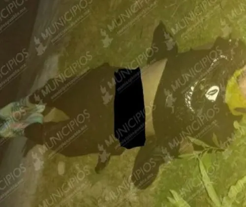Identifican el cuerpo que fue encontrado en el dren de Valsequillo