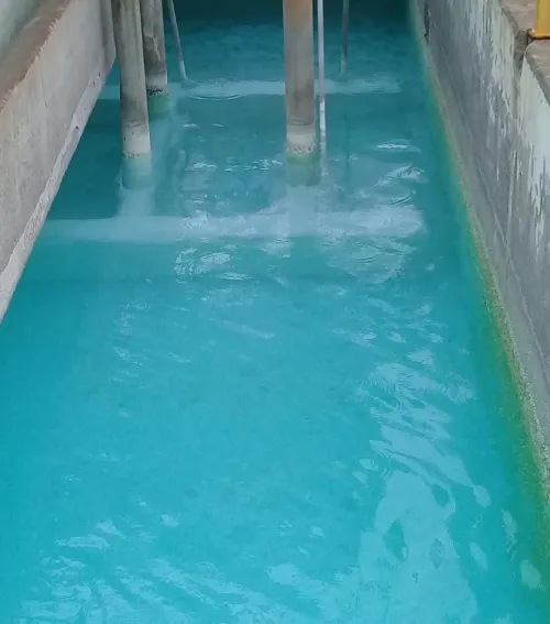 Nora Merino pide investigación por arsénico y heces fecales en agua potable