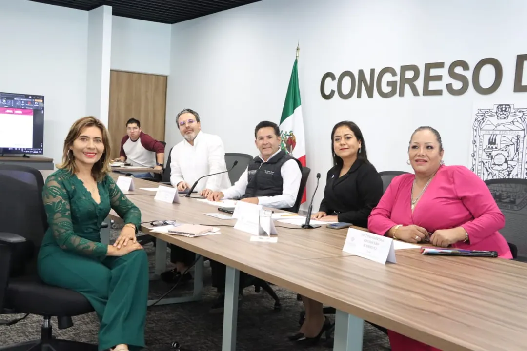 Congreso Pue Comision Oeneges Elsa Ruiz Betanzos