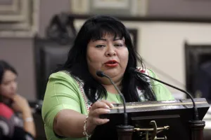 PRI trabaja en módulos del Registro Civil fuera de México
