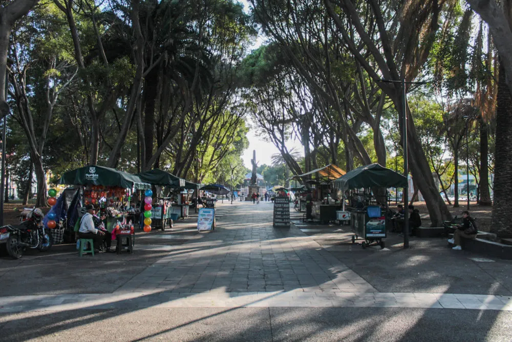 Armenta anuncia intervención del Paseo Bravo a partir de septiembre