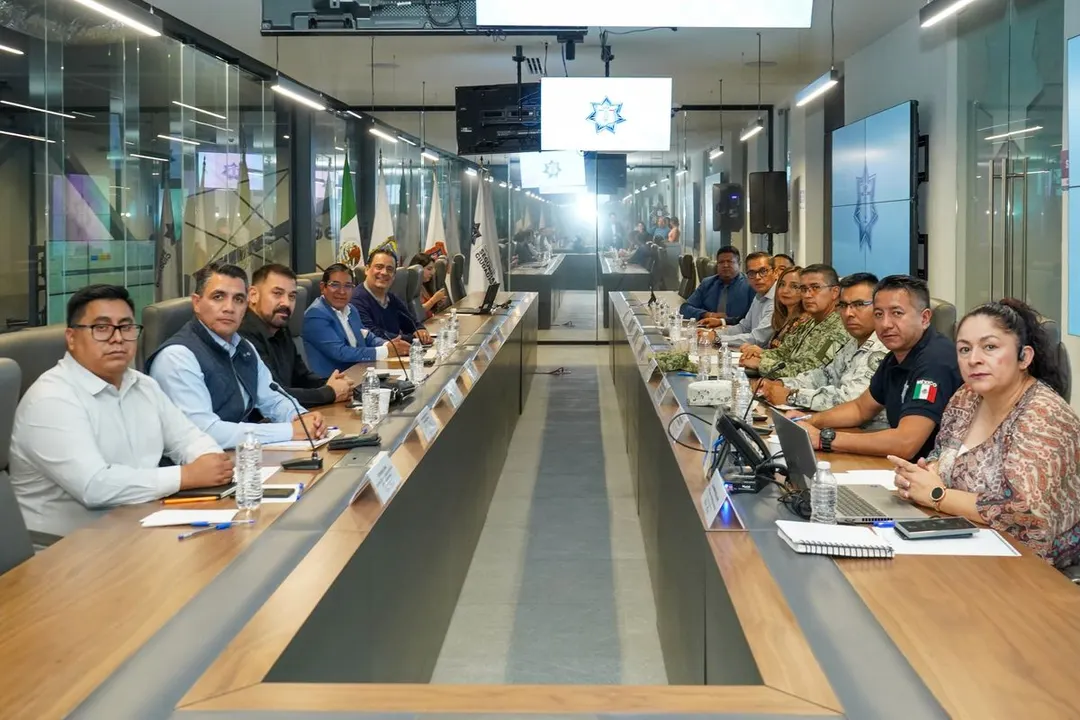 Ayto Pue Mesa Seguridad Mpal