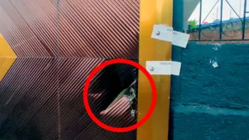Decomisan más de mil bolsas de cristal en cateos realizados en Izúcar de Matamoros